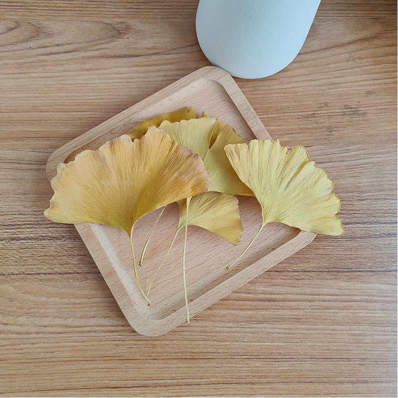 Natural Ginkgo Biloba Dried Le - огляд і ціна Soap Making Diy